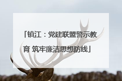 镇江：党建联盟警示教育 筑牢廉洁思想防线