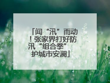 闻“汛”而动！张家界打好防汛“组合拳” 护城市安澜
