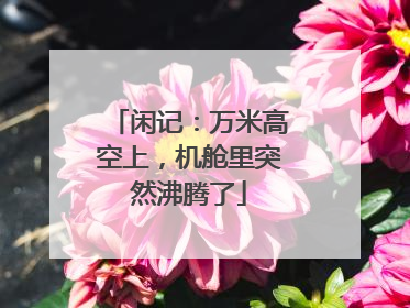 闲记：万米高空上，机舱里突然沸腾了