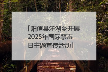阳信县洋湖乡开展2025年国际禁毒日主题宣传活动