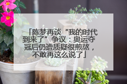 陈梦再谈“我的时代到来了”争议：奥运夺冠后仍遭质疑很煎熬，不敢再这么说了
