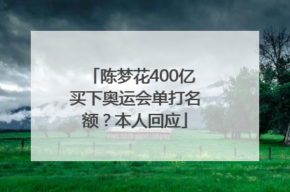 陈梦花400亿买下奥运会单打名额？本人回应