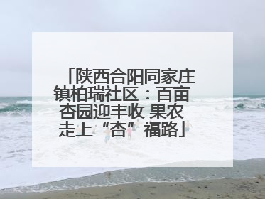 陕西合阳同家庄镇柏瑞社区：百亩杏园迎丰收 果农走上“杏”福路