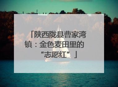 陕西陇县曹家湾镇：金色麦田里的“志愿红”