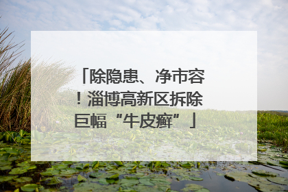 除隐患、净市容！淄博高新区拆除巨幅“牛皮癣”