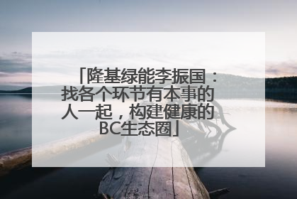 隆基绿能李振国：找各个环节有本事的人一起，构建健康的BC生态圈