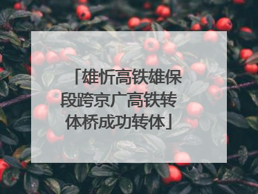 雄忻高铁雄保段跨京广高铁转体桥成功转体