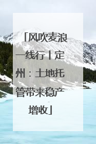 风吹麦浪一线行丨定州：土地托管带来稳产增收