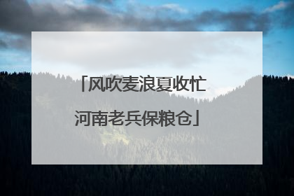 风吹麦浪夏收忙 河南老兵保粮仓