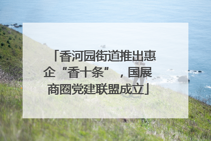 香河园街道推出惠企“香十条”，国展商圈党建联盟成立