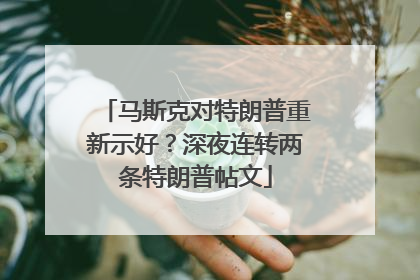 马斯克对特朗普重新示好？深夜连转两条特朗普帖文