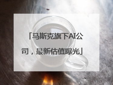 马斯克旗下AI公司，最新估值曝光