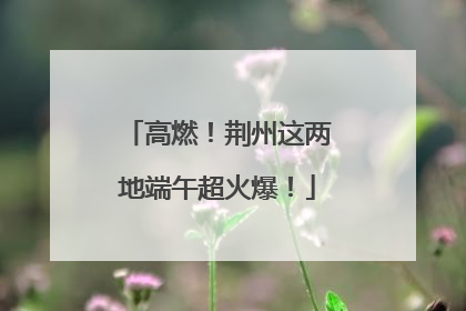 高燃！荆州这两地端午超火爆！