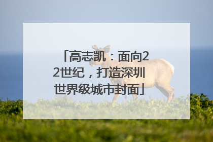 高志凯：面向22世纪，打造深圳世界级城市封面