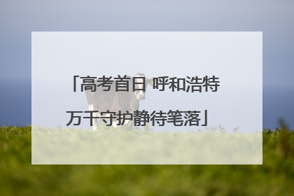 高考首日 呼和浩特万千守护静待笔落