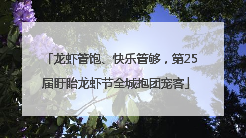 龙虾管饱、快乐管够，第25届盱眙龙虾节全城抱团宠客