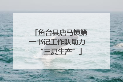 鱼台县唐马镇第一书记工作队助力“三夏生产”