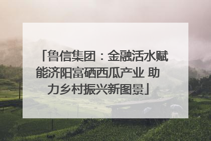 鲁信集团：金融活水赋能济阳富硒西瓜产业 助力乡村振兴新图景