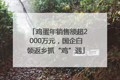 鸡蛋年销售额超2000万元，国企白领返乡抓“鸡”遇
