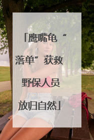 鹰嘴龟“落单”获救 野保人员放归自然