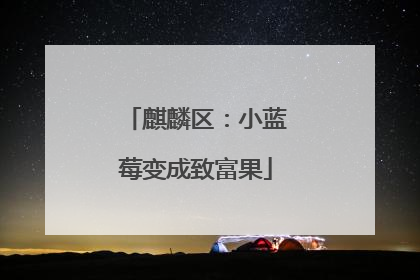 麒麟区：小蓝莓变成致富果