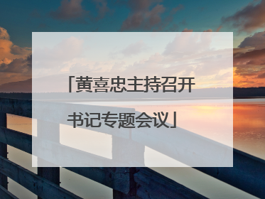 黄喜忠主持召开书记专题会议