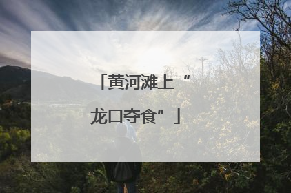 黄河滩上“龙口夺食”