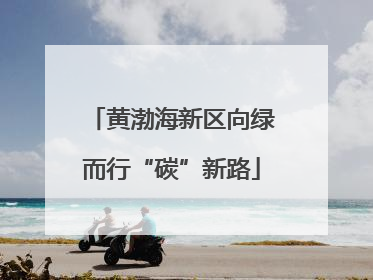 黄渤海新区向绿而行“碳”新路