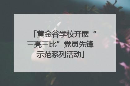 黄金谷学校开展“三亮三比”党员先锋示范系列活动