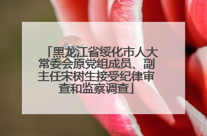 黑龙江省绥化市人大常委会原党组成员、副主任宋树生接受纪律审查和监察调查