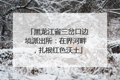 黑龙江省三岔口边境派出所：在界河畔，扎根红色沃土