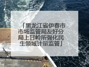 黑龙江省伊春市市场监管局友好分局上甘岭所强化民生领域计量监管