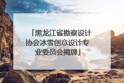 黑龙江省勘察设计协会冰雪创意设计专业委员会揭牌