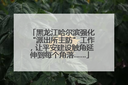 黑龙江哈尔滨强化“派出所主防”工作，让平安建设触角延伸到每个角落……