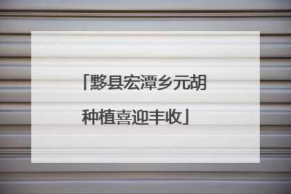 黟县宏潭乡元胡种植喜迎丰收