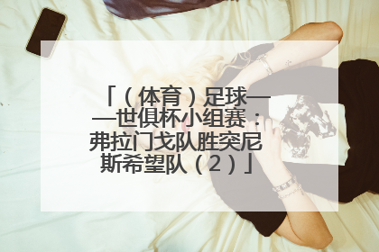 （体育）足球——世俱杯小组赛：弗拉门戈队胜突尼斯希望队（2）