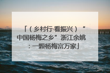 （乡村行·看振兴）“中国杨梅之乡”浙江余姚：一颗杨梅富万家