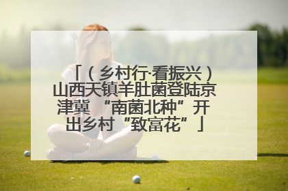 （乡村行·看振兴）山西天镇羊肚菌登陆京津冀 “南菌北种”开出乡村“致富花”