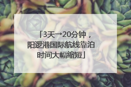 3天→20分钟，阳逻港国际航线靠泊时间大幅缩短