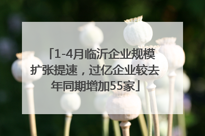1-4月临沂企业规模扩张提速，过亿企业较去年同期增加55家