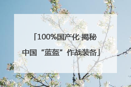 100%国产化 揭秘中国“蓝盔”作战装备
