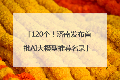 120个！济南发布首批AI大模型推荐名录