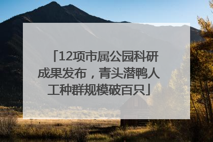12项市属公园科研成果发布，青头潜鸭人工种群规模破百只