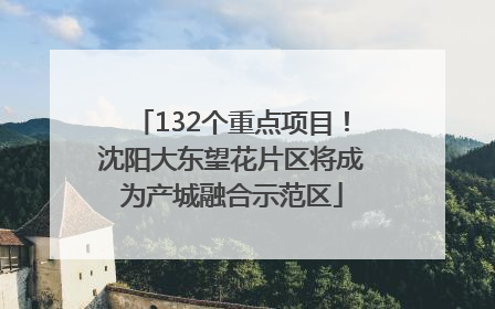 132个重点项目！沈阳大东望花片区将成为产城融合示范区