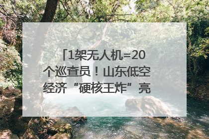 1架无人机=20个巡查员！山东低空经济“硬核王炸”亮相青岛，下一个万亿赛道藏在这里