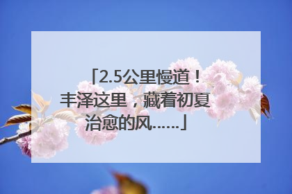 2.5公里慢道！丰泽这里，藏着初夏治愈的风……