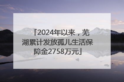 2024年以来，芜湖累计发放孤儿生活保障金2758万元