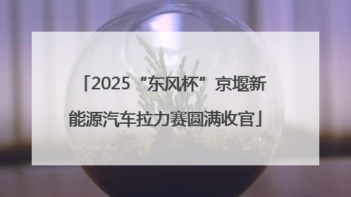 2025“东风杯”京堰新能源汽车拉力赛圆满收官