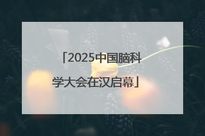 2025中国脑科学大会在汉启幕
