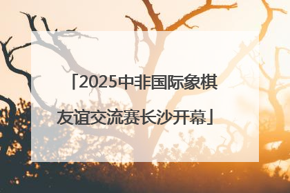 2025中非国际象棋友谊交流赛长沙开幕